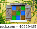 colorful window with vine 40229485
