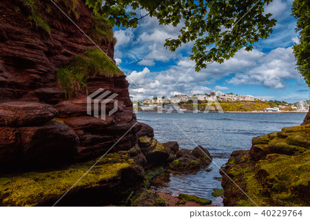Torquay town and sea Torquay town and sea 40229764
