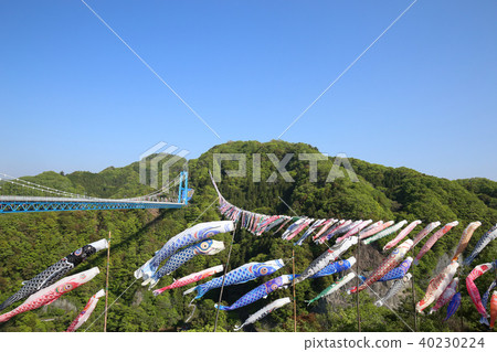 Ryujinkyo Carp streamer Ibaraki Prefecture Hitachi Ota City 40230224