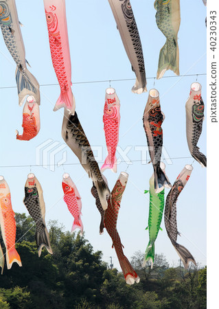 Fresh green blue sky Koinobori 40230343