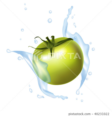 Tomato green 3d realistic isolated on white.  40231022