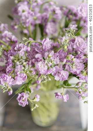 Bouquet of Beautiful lilac color gillyflower, levkoy or mattiola. Spring flowers in vase on wooden Bouquet of Beautiful lilac color gillyflower, levkoy or mattiola. Spring flowers in vase on wooden 40231653