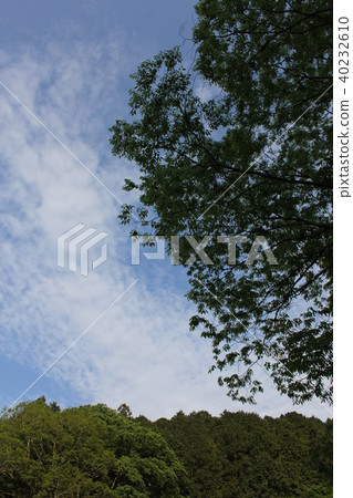 藍色和綠色 藍色和綠色 40232610