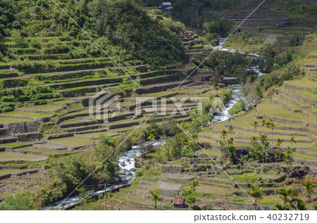 Hapa o rice terrace Hapa o rice terrace 40232719