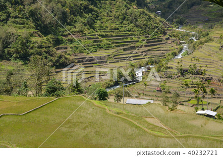 Hapa o rice terrace Hapa o rice terrace 40232721