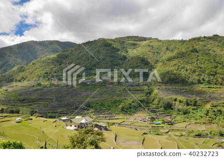 Hapa o rice terrace Hapa o rice terrace 40232723