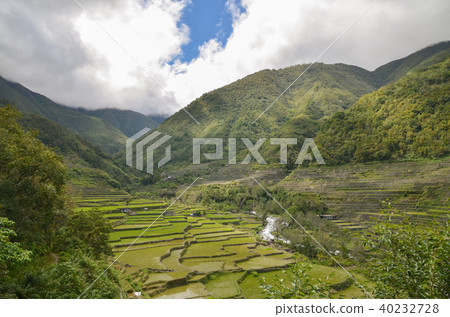 Hapa o rice terrace Hapa o rice terrace 40232728