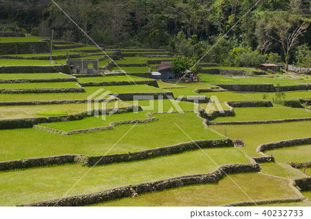 Hapa o rice terrace 40232733