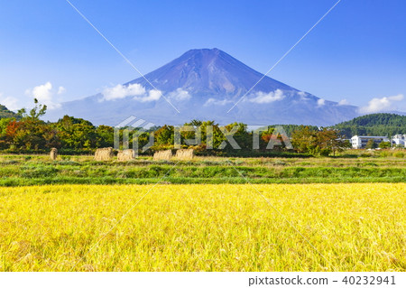 在山梨縣富士吉田市的一個農村公園的富士山和稻田的風景 40232941
