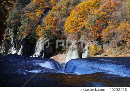 [秋天的秋天的季節]秋葉（早上） 40232958