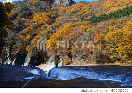 [Autumn autumn season] Autumn leaves (in the morning) 40232962