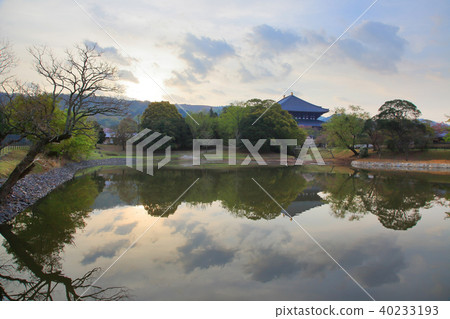 東大寺大佛堂大佛池 東大寺大佛堂大佛池 40233193