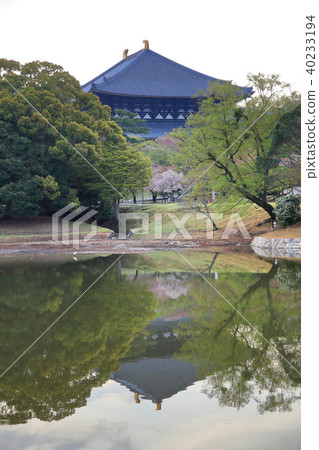 東大寺大佛堂大佛池 東大寺大佛堂大佛池 40233194