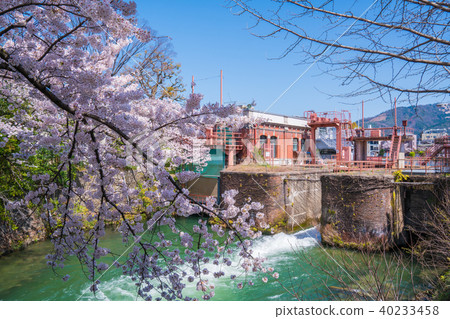 京都鴨川水力發電站和櫻花 40233458