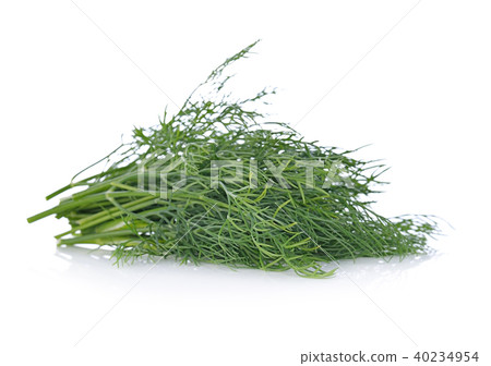 dill isolated (dill, fennel, herb)  40234954