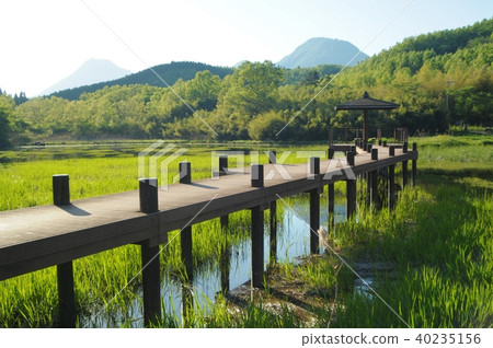 神樂女孩湖 神樂女孩湖 40235156