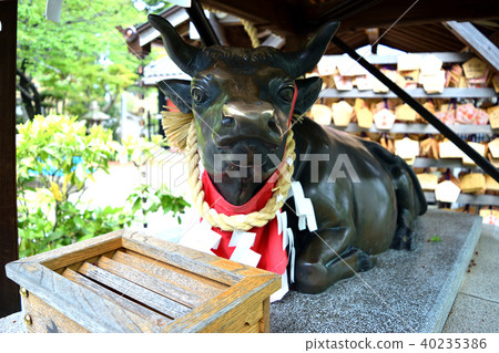 Kitano Tenma Shrine gods (Kobe, Kitano) Kitano Tenma Shrine gods (Kobe, Kitano) 40235386