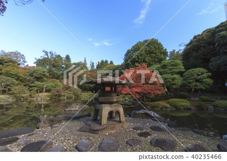 園林風光（東京，老古河花園，秋天） 40235466