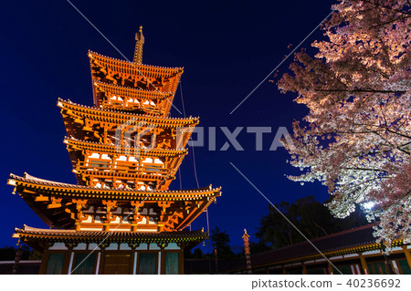 Yakushiji花黨櫻花 Yakushiji花黨櫻花 40236692