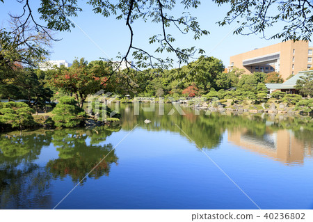 園林景觀（東京，清澄園，秋天） 40236802