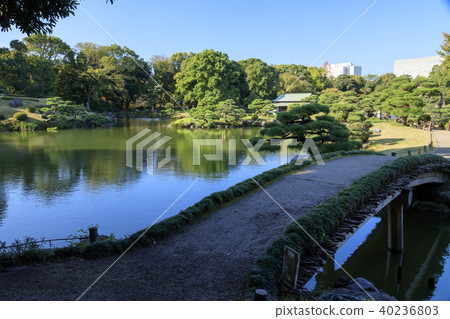 Garden landscape (Tokyo, Kiyosumi garden, autumn) 40236803
