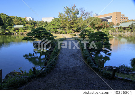 園林景觀（東京，清澄園，秋天） 40236804