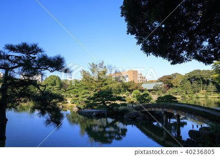 園林景觀（東京，清澄園，秋天） 40236805