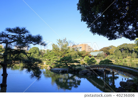 園林景觀（東京，清澄園，秋天） 40236806