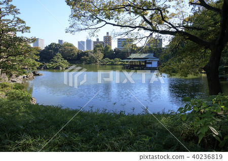 園林景觀（東京，清澄園，秋天） 40236819