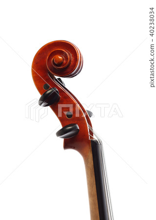 Violin Violin 40238034