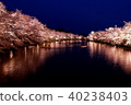 夜晚的櫻花 40238403
