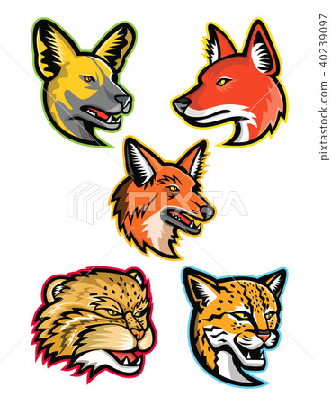Wild Dogs and Wild Cats Mascot Collection 40239097