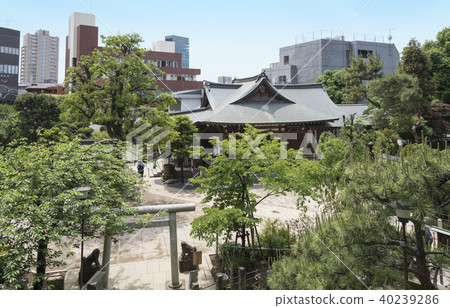 Hatomori-Hachiman Shrine's Haiden seen from Fujizuka (Shibuya-ku, Tokyo) Hatomori-Hachiman Shrine's Haiden seen from Fujizuka (Shibuya-ku, Tokyo) 40239286