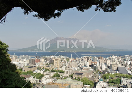 從春天的鹿兒島縣城山天文台觀看櫻島 40239641