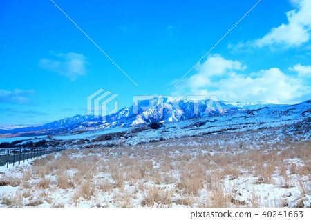 麻生太郎在冬天 40241663