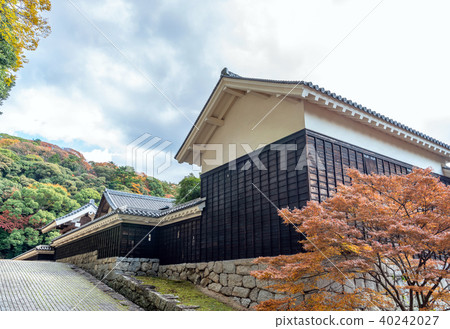 松山城Ninomaru Kuromonguchi Tojo路的秋天視圖 松山城Ninomaru Kuromonguchi Tojo路的秋天視圖 40242027