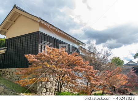 松山城Ninomaru Kuromonguchi Tojo路的秋天視圖 40242028