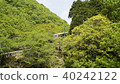新鮮的綠色Tayomi no Mori電纜Tokimeki Nose Den Kurokawa，兵庫縣川西市 40242122