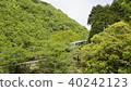 新鮮的綠色Tayomi no Mori電纜Hohoemu Nose Den Kurokawa，兵庫縣川西市 40242123