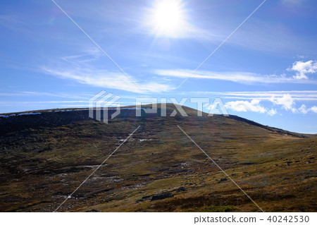 澳大利亞最高的山，Kosciuszko 40242530