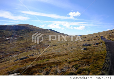 澳大利亞最高的山,Kosciuszko 澳大利亞最高的山,Kosciuszko 40242531