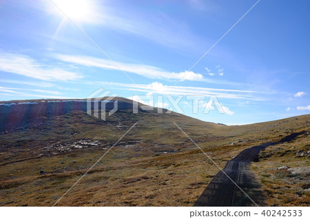 Australia's highest mountain, Kosciuszko Australia's highest mountain, Kosciuszko 40242533