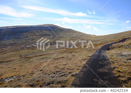 Australia's highest mountain, Kosciuszko Australia's highest mountain, Kosciuszko 40242534