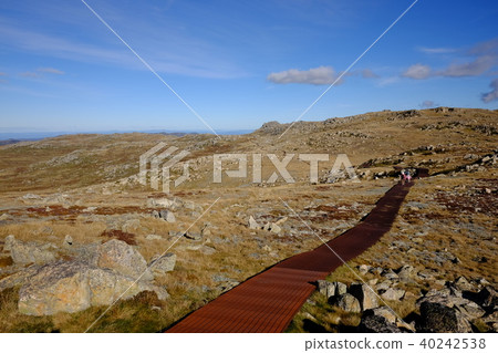澳大利亞最高的山,Kosciuszko 澳大利亞最高的山,Kosciuszko 40242538