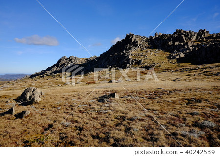 澳大利亞最高的山,Kosciuszko 澳大利亞最高的山,Kosciuszko 40242539