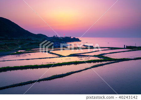 Evening landscape of rice terraces Evening landscape of rice terraces 40243142