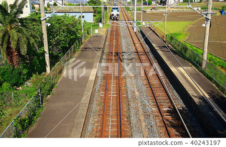 Panda Kuroshio No. JR 287 Panda face Express Train Kuroshio 36 40243197