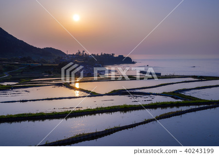 Sodei's rice terrace 40243199