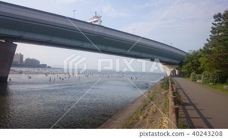 Sea hunt in the river 40243208