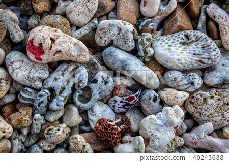 Pebbles and coral background 40243688